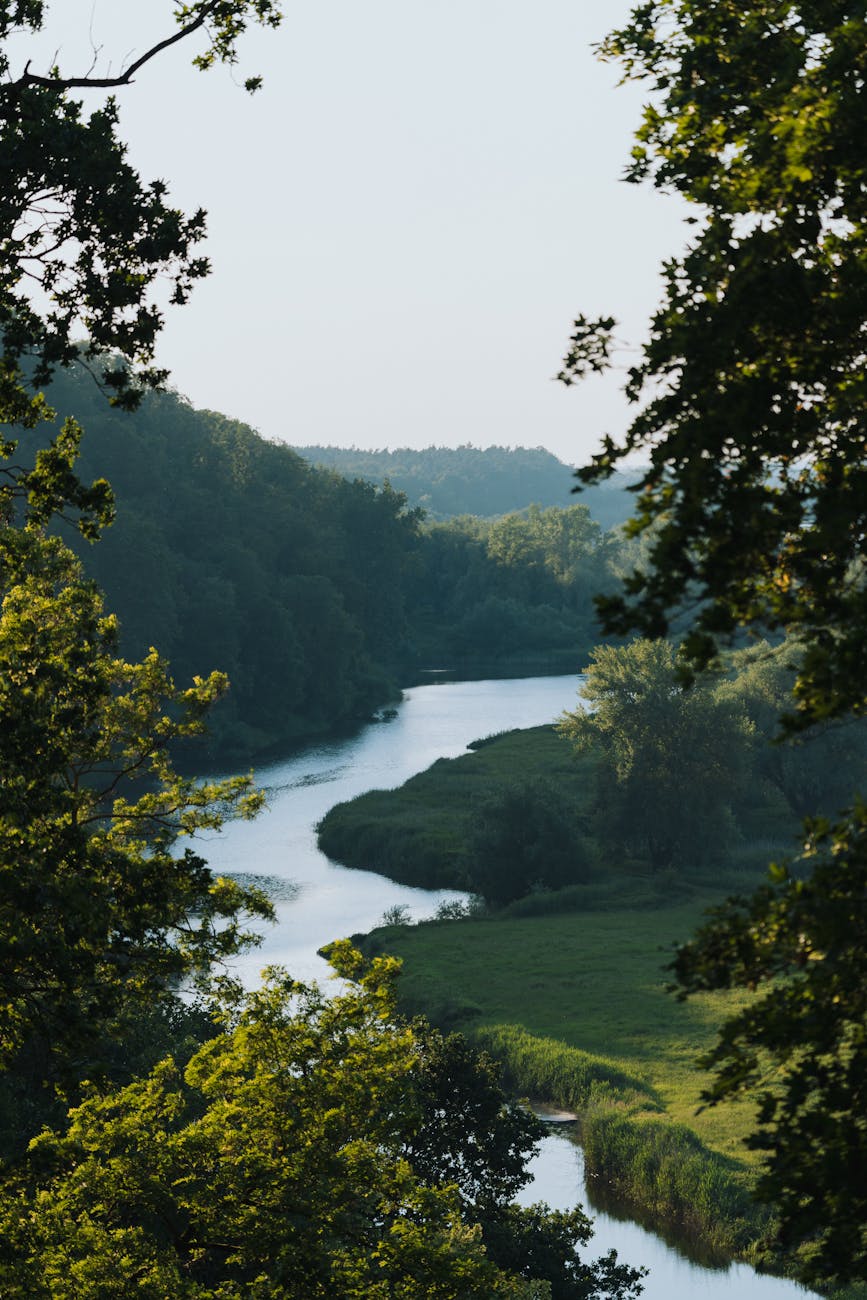        I have all that I&nbsp;need!