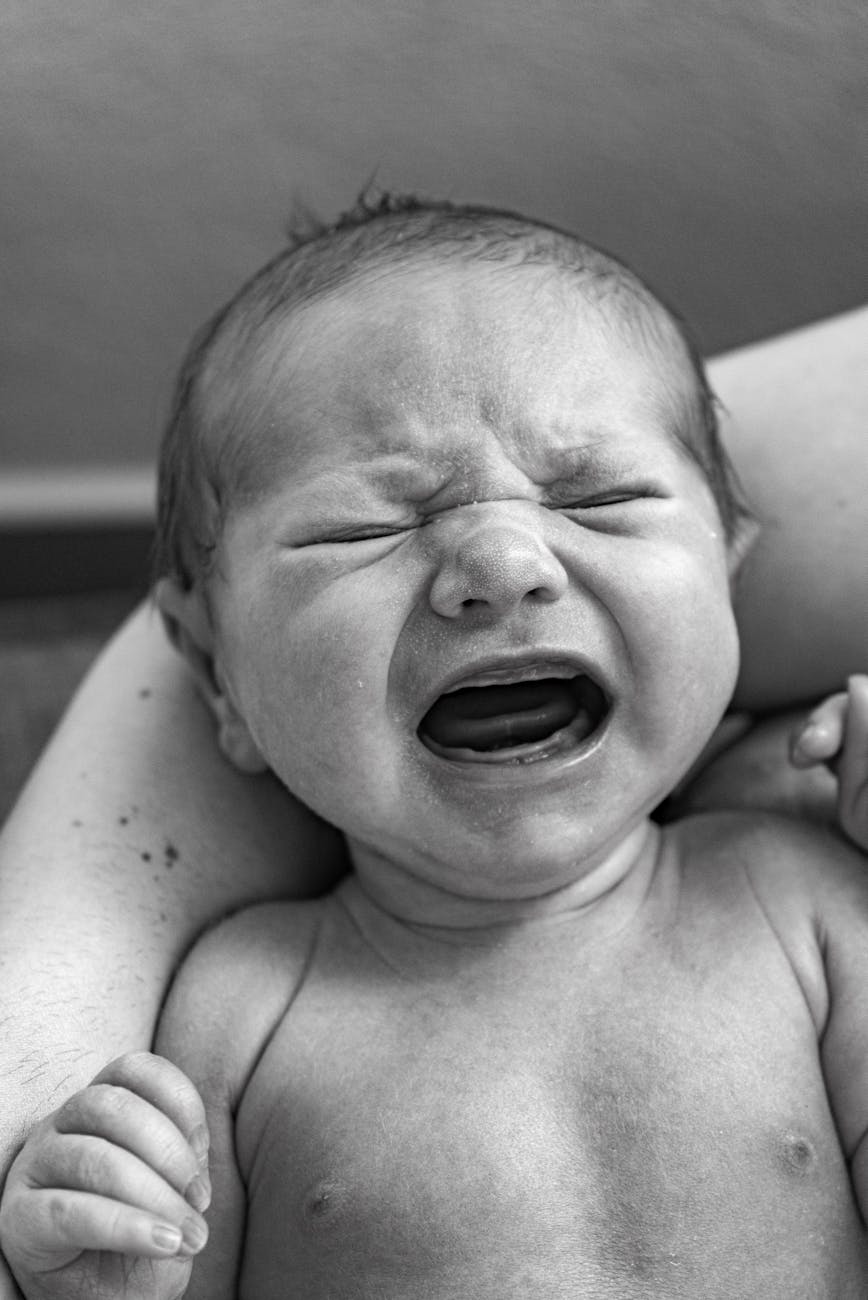 Newborn Babies